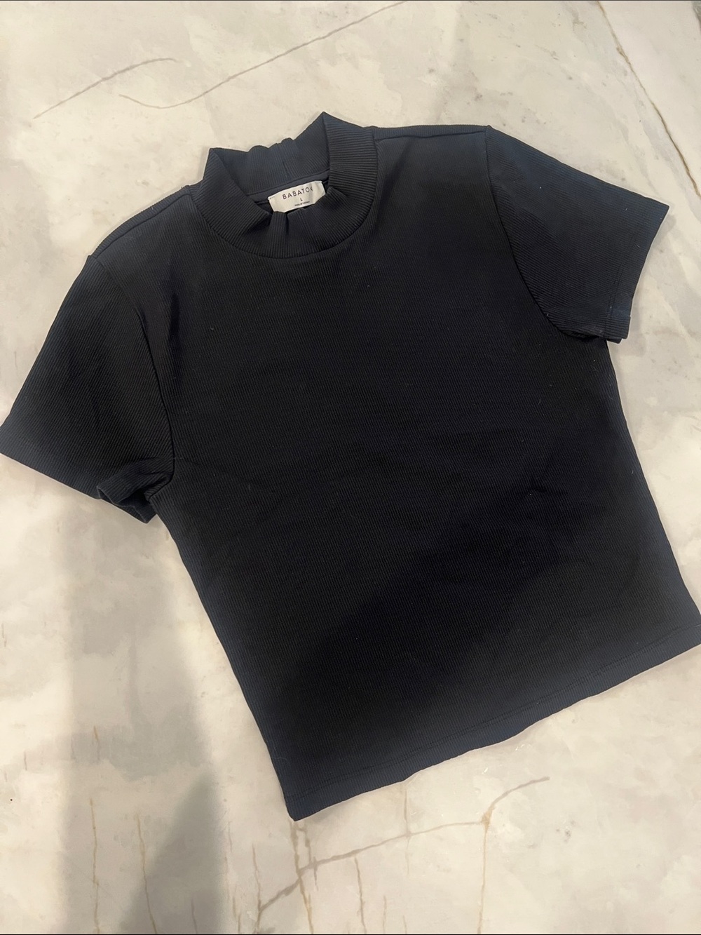 Aritzia Babaton Form Fitting Mock Neck T-Shirt
